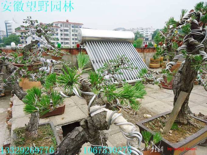 DSC01555.jpg