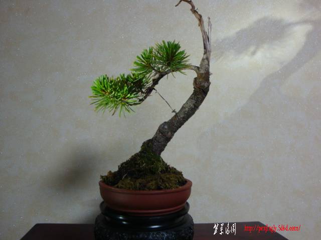 DSC05105.JPG