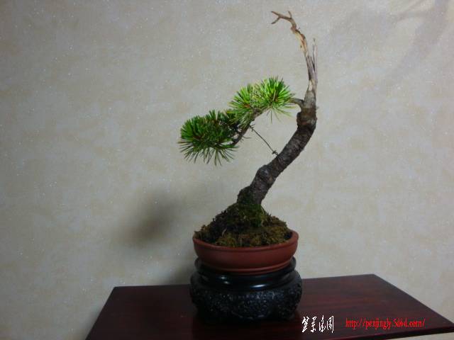 DSC05104.JPG
