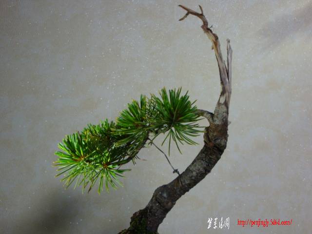 DSC05106.JPG