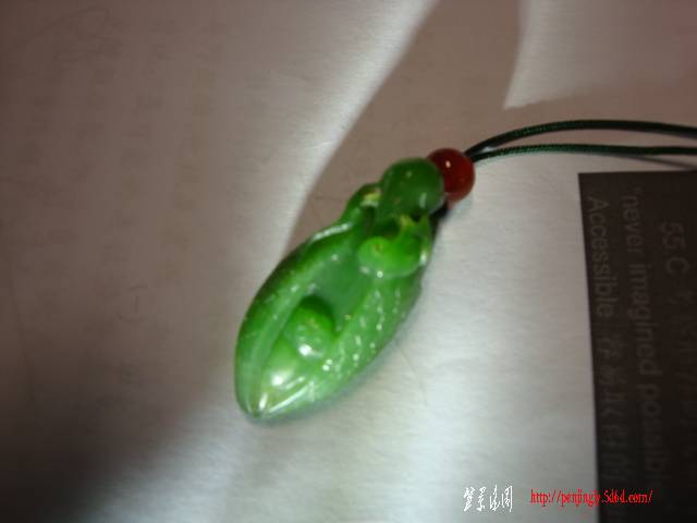 DSC05107.JPG