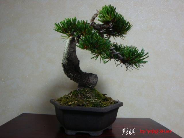 DSC05110.JPG