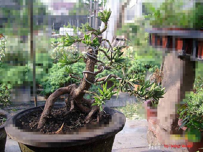 SNC10168_副本.jpg