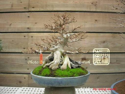 abbr_3d97c6d374ca44159f9b9f8664812ae4.jpg
