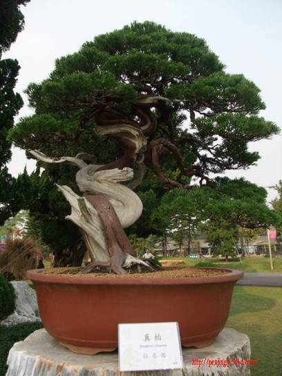 DSCF8422.JPG