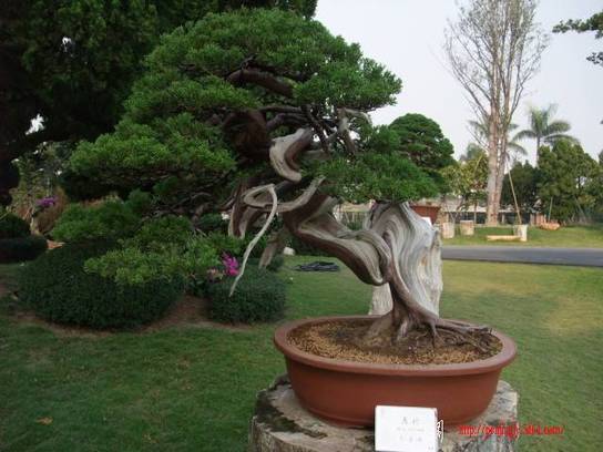 DSCF8420.JPG
