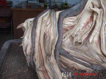 DSCF5624.JPG