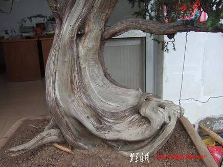 DSCF5611.JPG
