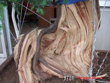 DSCF5638.JPG