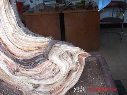 DSCF5628.JPG