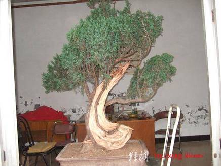 DSCF5636.JPG