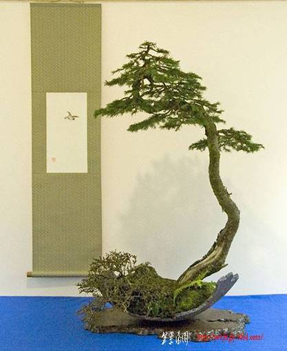 shun_ten_2010_dsc_9270v.jpg