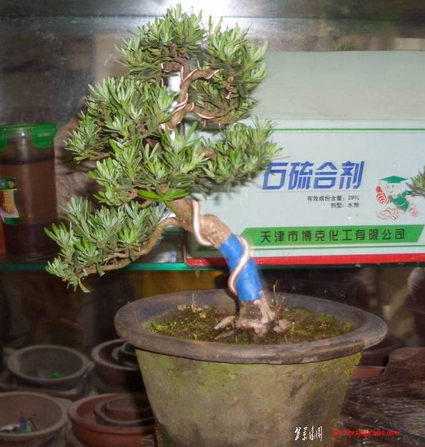 ȸ3.JPG