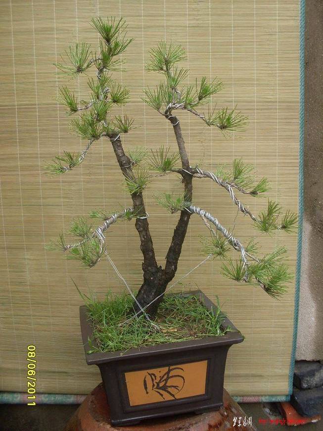 SDC10470.JPG