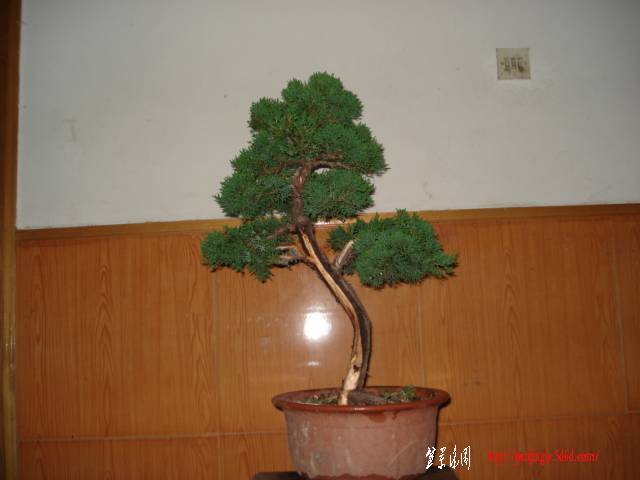 DSC09887.JPG