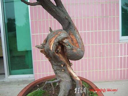 DSCF5697.JPG