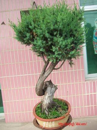 DSCF5686.JPG