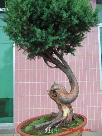 DSCF5704.JPG