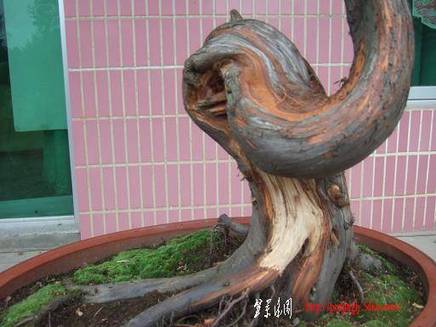 DSCF5701.JPG