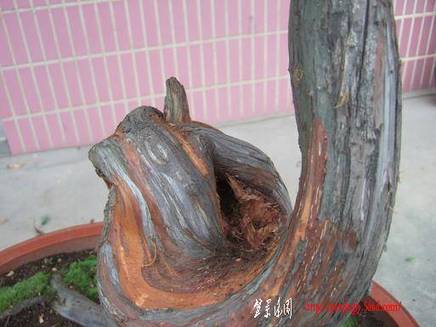 DSCF5700.JPG