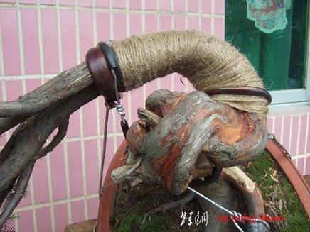DSCF5732.JPG