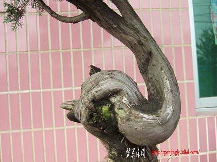 DSCF5690.JPG