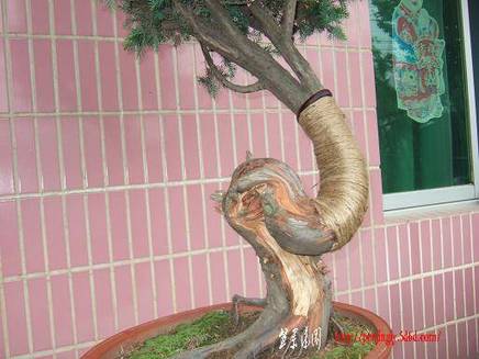 DSCF5720.JPG