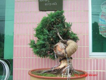 DSCF5723.JPG