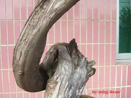 DSCF5691.JPG