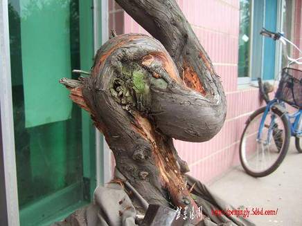 DSCF5695.JPG