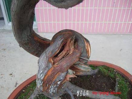 DSCF5699.JPG