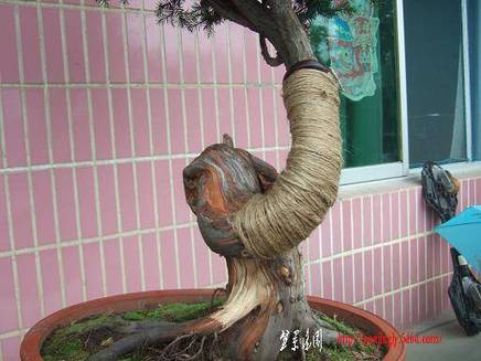 DSCF5721.JPG