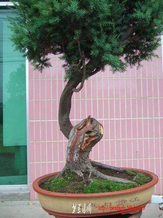 DSCF5706.JPG