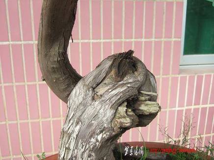 DSCF5689.JPG