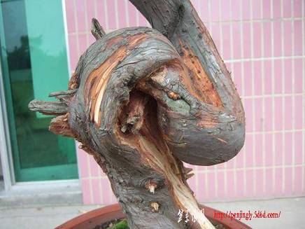DSCF5696.JPG