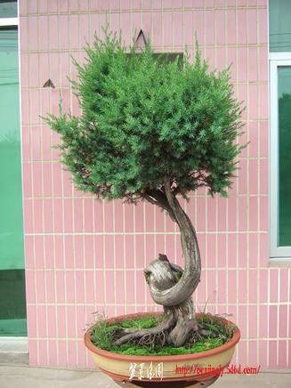 DSCF5685.JPG
