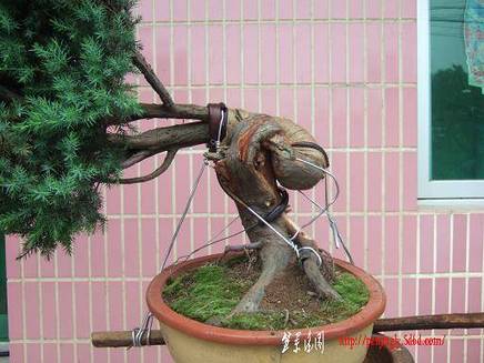 DSCF5722.JPG