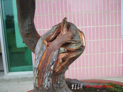 DSCF5698.JPG