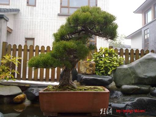 20110319182.jpg