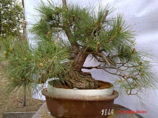 20110319145.jpg