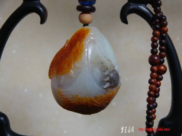 DSC05233.JPG