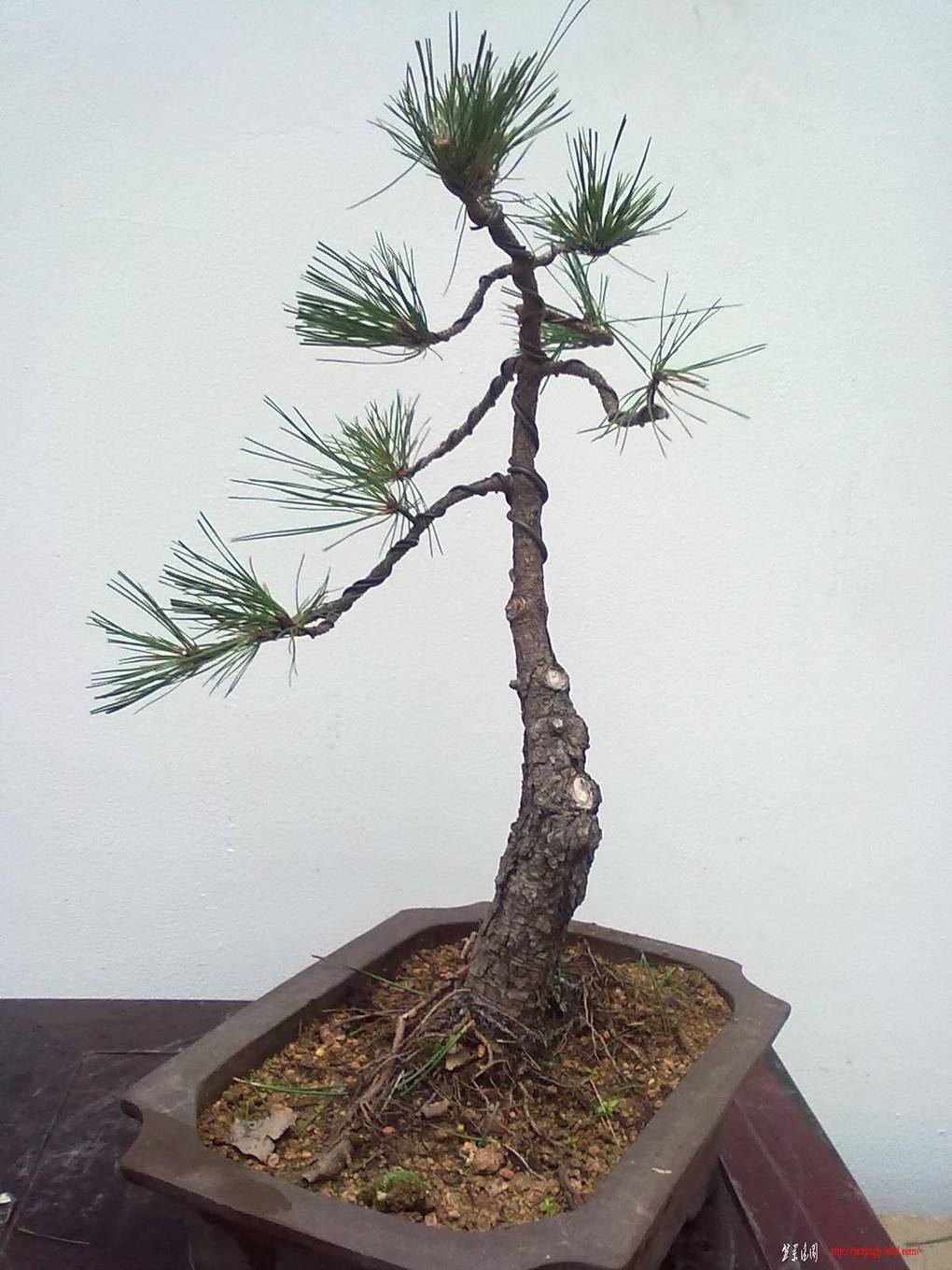 20110618409.jpg