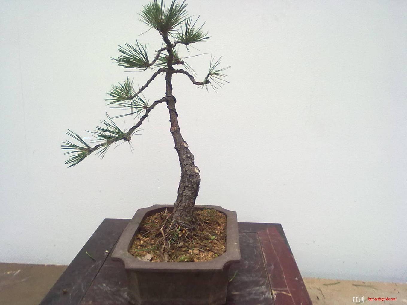 20110618408.jpg