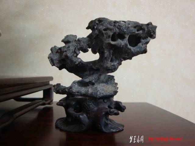 DSC05240.JPG