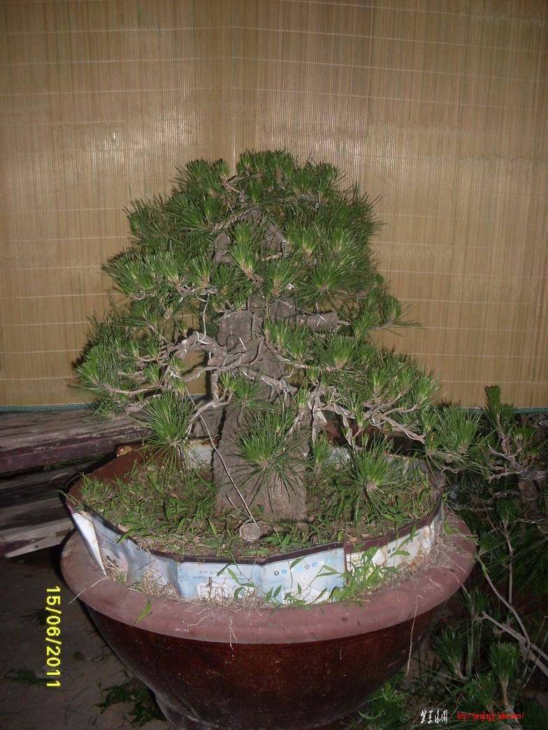 SDC10618.JPG