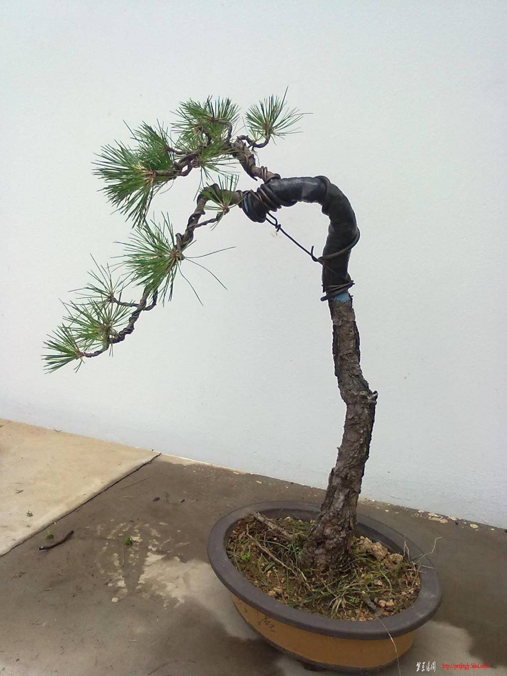 20110621419.jpg