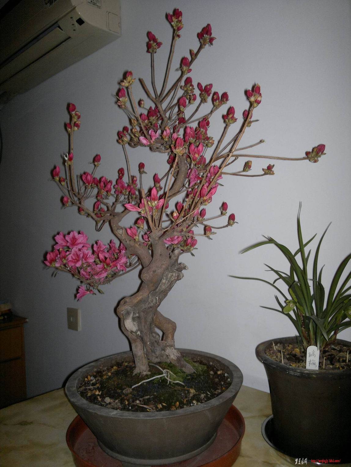 20110402089.jpg