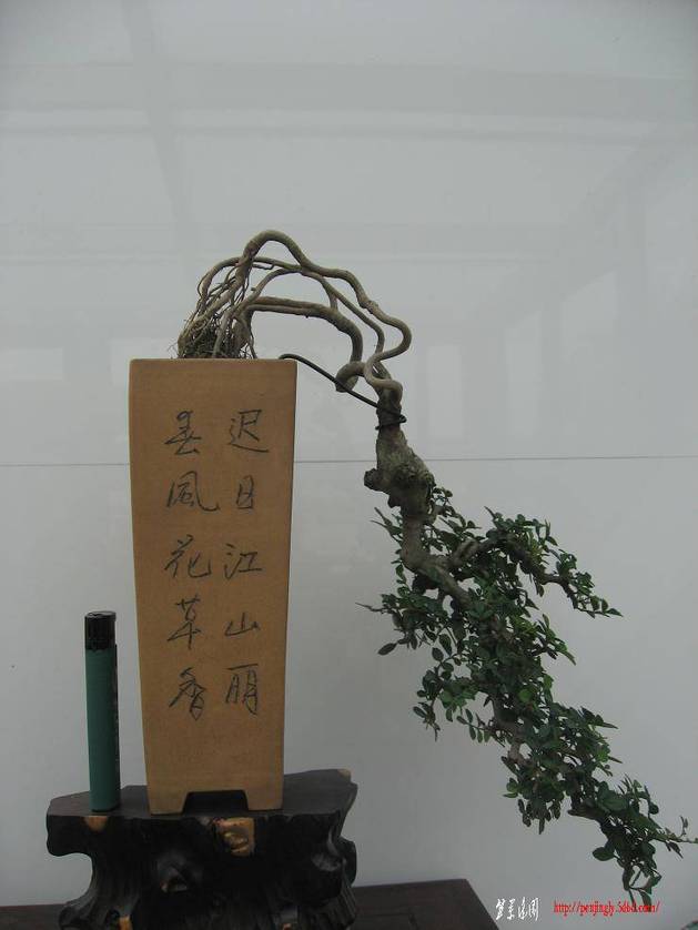 Ƭ 122.jpg