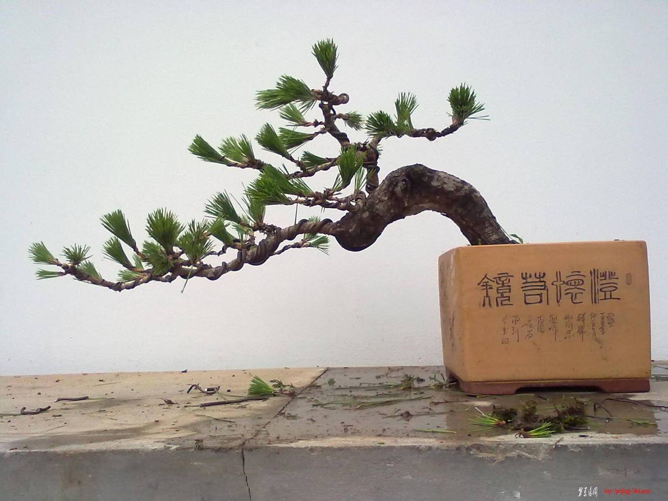 20110625431.jpg