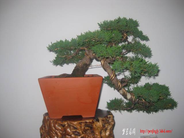 Ƭ 091.jpg
